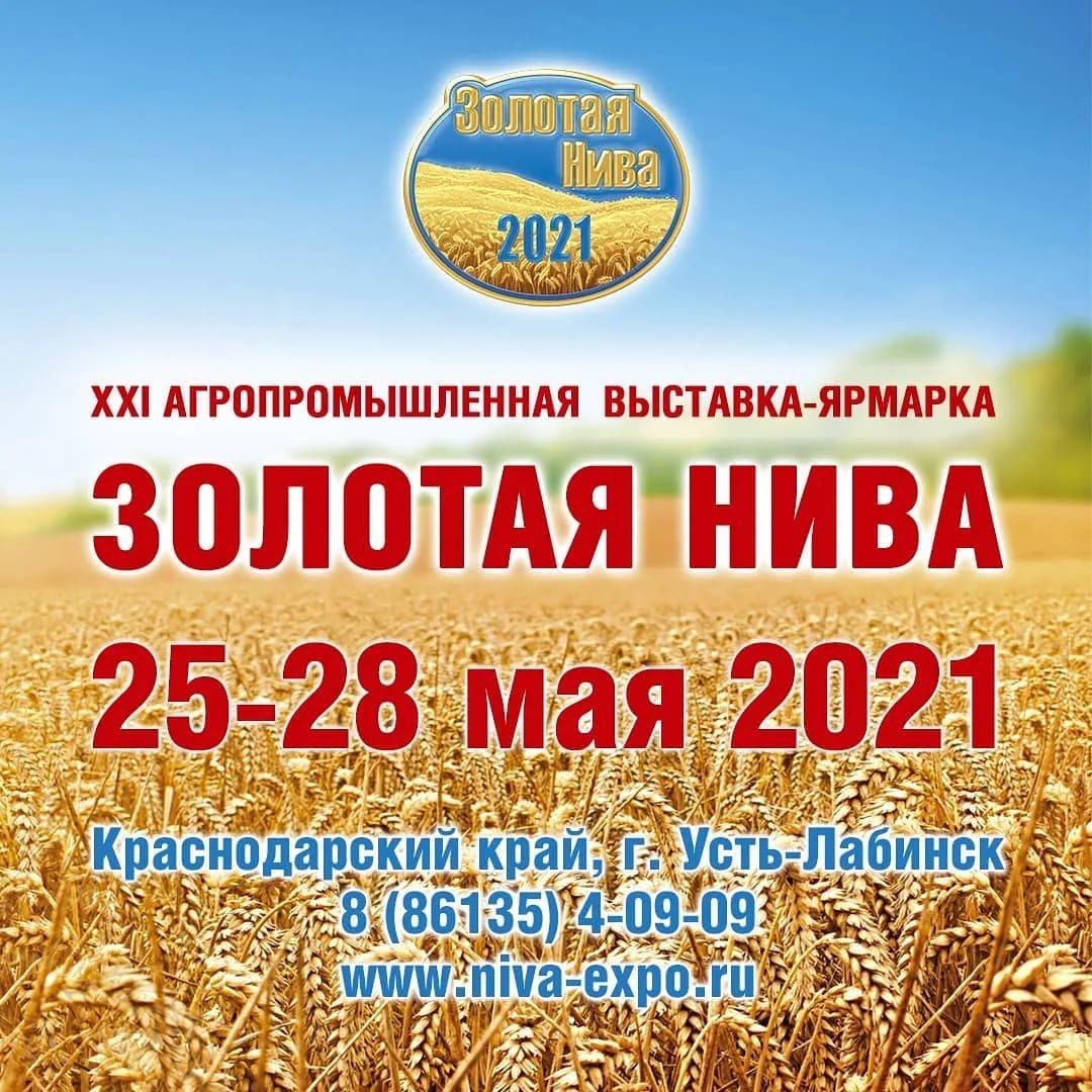 Золотая Нива 2021