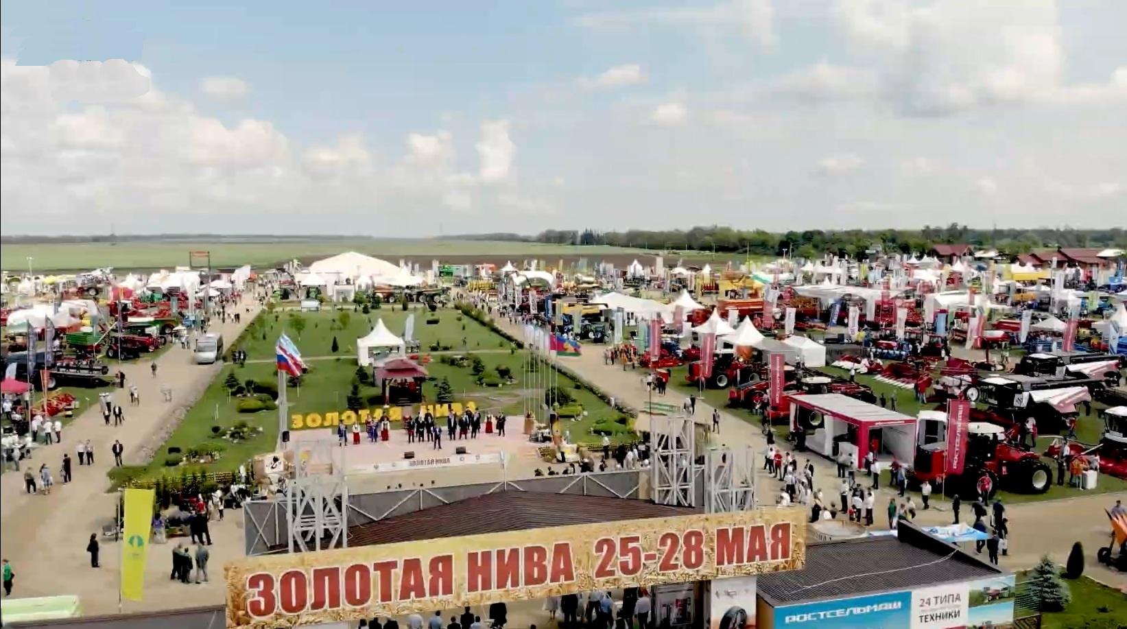 Золотая Нива 2021 02