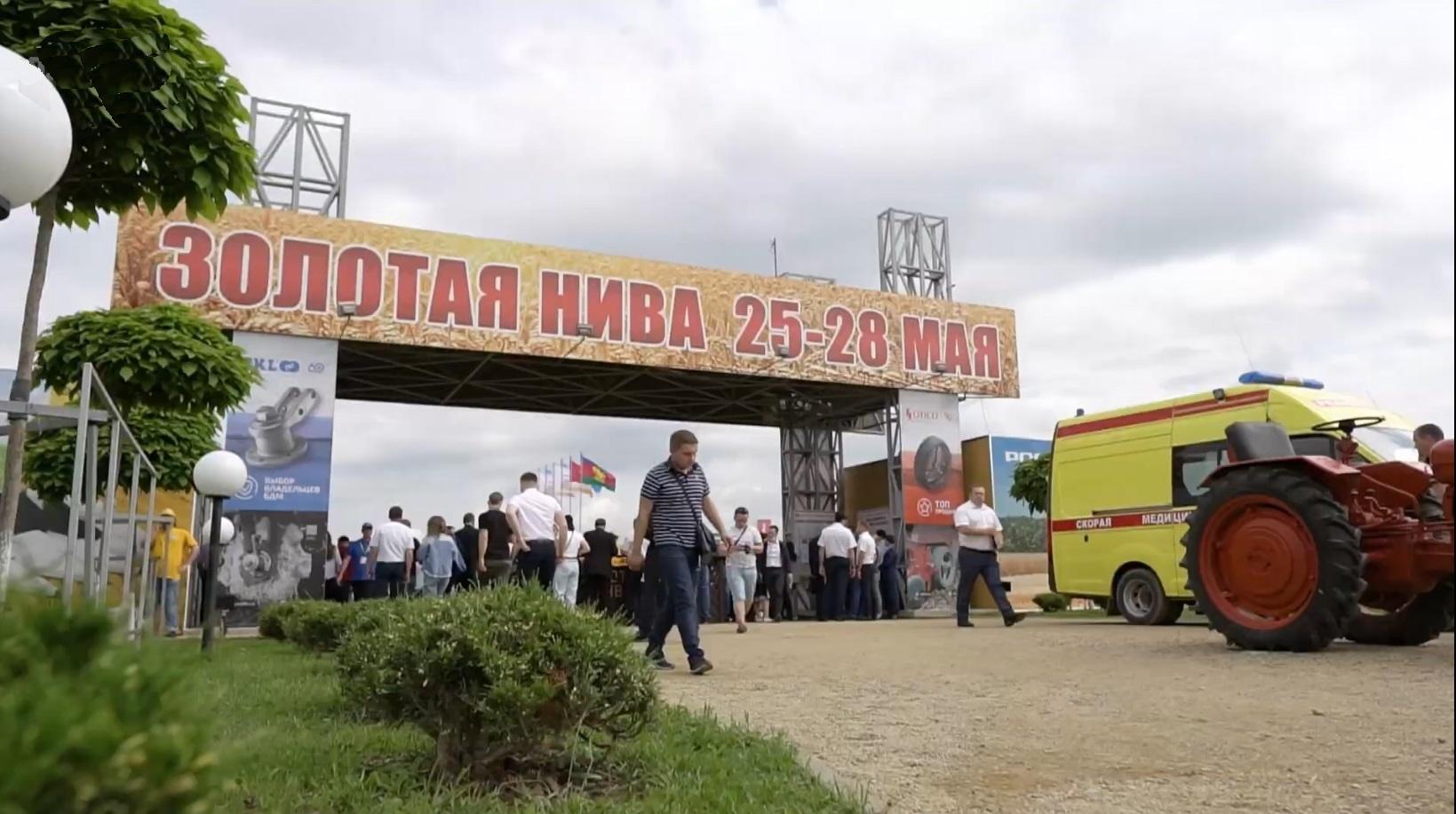Золотая Нива 2021 03